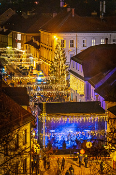 Prednovoletni koncert  (25)